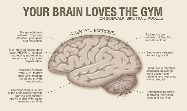 EXERCISE TRAINING INCREASES SIZE OF HIPPOCAMPUS AND IMPROVES MEMORY 